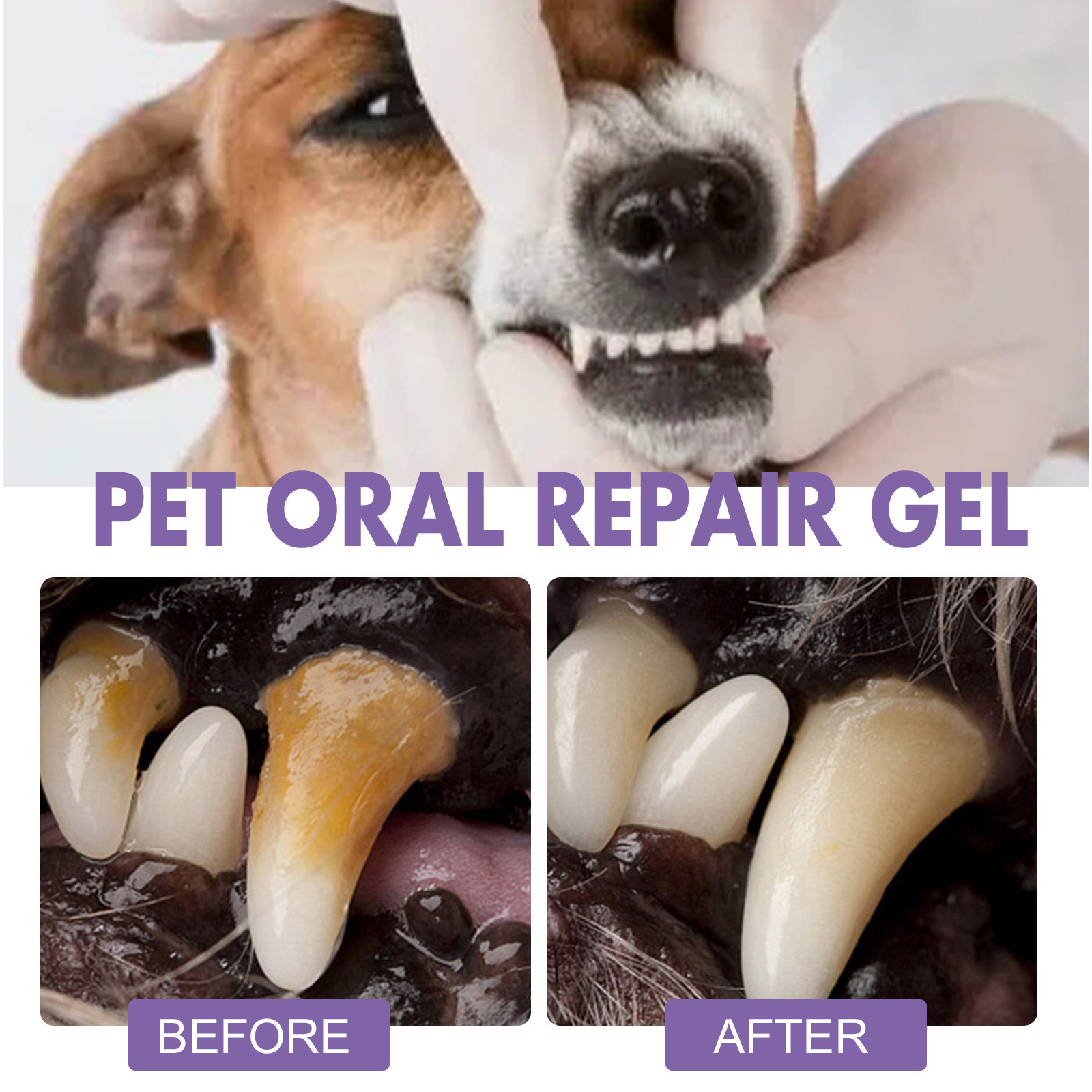 Gel perbaikan mulut hewan peli - Teeth Whitening Price ulasan dan harga